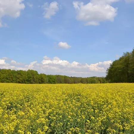 Zauber Der Pfalz Nahe Speyer Daire
