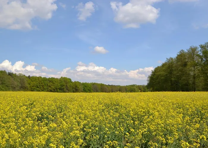 Zauber Der Pfalz Apartament